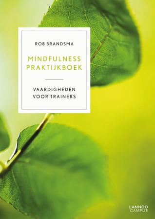 Mindfulness Praktijkboek: Vaardigheden voor Trainers