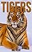 Tigers: Children Book of Fun Facts & Amazing Photos on Animals in Nature - A Wonderful Tigers Book for Kids aged 3-7