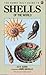 The Henry Holt Guide to Shells of the World