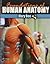 Foundations of Human Anatomy