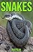 Snakes: Children Book of Fun Facts & Amazing Photos on Animals in Nature - A Wonderful Snakes Book for Kids aged 3-7