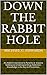 Down The Rabbit Hole: An Addict’s Narrative to Parents or Anyone Seeking to Understand Drug Addiction: Knowledge is the Key to Prevention.
