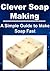 Clever Soap Making: A Simple Guide to Make Soap Fast: (Soap Making, Soap Making Manual, Soap Making for Beginners, How to Make Soap Quickly, Natural Handmade Soap)