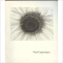 Paul Caponigro