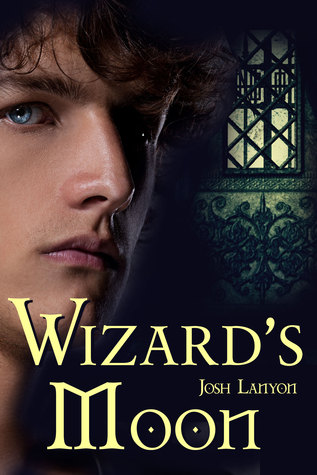 Wizard's Moon (Kindle Edition)