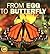 From Egg to Butterfly