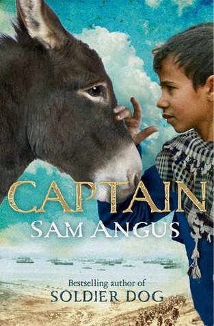 Capa do Livro Captain