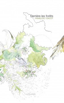 Derrière les forêts