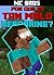 Why Is Herobrine So EVIL?: a Minecraft Comic (Spanish Edition)