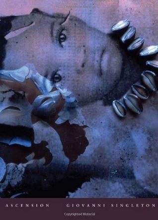 Ascension (Paperback)