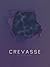 Crevasse by Nicholas Wong