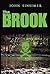 The Brook by John Sinsimer