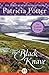 The Black Knave by Patricia Potter