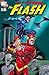 The Flash (1987-2009) #228