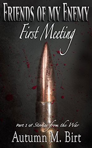 First Meeting: Part 1 of Stories from the War (Friends of my Enemy)