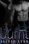 Burnt (BWWM Interracial Paranormal Romance Novella): Episode Two