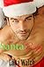 Santa Baby (Billionaire Romance)