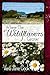 Where the Wildflowers Grow by Vera Jane Cook