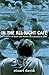 In the All-Night Café: A Memoir of Belle and Sebastian's Formative Year