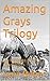 Amazing Grays Trilogy: the Message and the Messengers