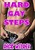 Hard Gay Steps (3 Stories)
