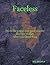Faceless by Bill Chapple
