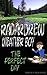 Kid's Book: RADARDREW Weather Boy: THE PERFECT DAY (Children's Books Ages 4-8) (Children's Books Ages 9-12) (Fly Fishing)