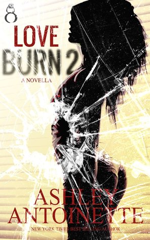 Love Burn 2 (Kindle Edition)