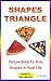 SHAPES: TRIANGLE: Shapes Picture Book for Kids (Math in Real Life)