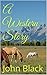 A Western Story