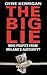 The Big Lie by Gene Kerrigan
