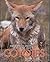 Coyotes (Frequently Asked Questions About)