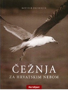 Čežnja za hrvatskim nebom