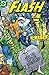 The Flash (1987-2009) #217