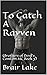 To Catch a Rayven (Brothers of the Devil's Comfort MC, #3)