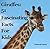 Giraffes: 51 Fascinating Facts For Kids: Facts About Giraffes