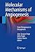 Molecular Mechanisms of Angiogenesis: From Ontogenesis to Oncogenesis