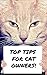 Top Tips For Cat Owners - The Ultimate Pet Cat Guide!