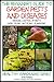 A Beginner’s Guide to Garden Pests and Diseases: Organic Control of Pests – Insecticides, Pesticides, Fungicides (Healthy Gardening Series Book 13)