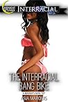The Interracial Bang Bike 1