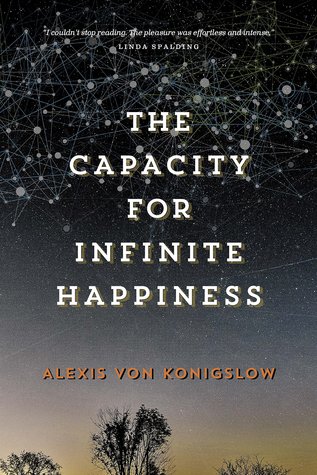 The Capacity for Infinite Happiness (Paperback)