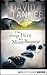 Das eisige Herz des Mont Bisanne by David Tanner