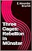 Three Cages: Rebellion in Münster