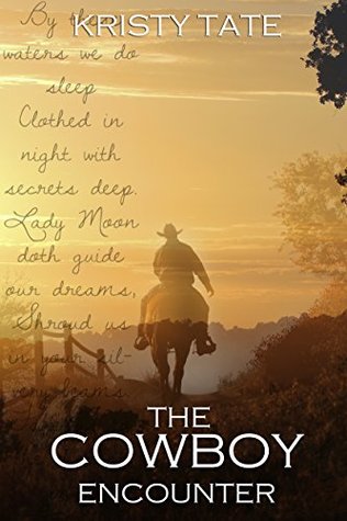 The Cowboy Encounter (Witching Well #2)