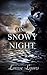One Snowy Night