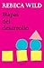 Etapas del desarrollo