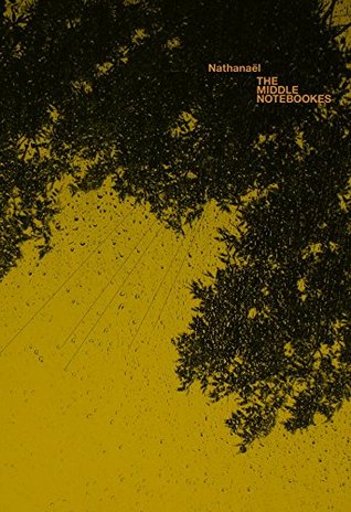 The Middle Notebookes (Paperback)