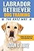 Labrador Retriever Dog Trai...
