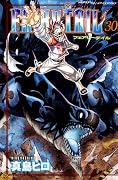 フェアリーテイル 30 [Fearī Teiru 30]