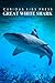Great White Shark - Curious Kids Press: Kids book about animals and wildlife, Children's books 4-6